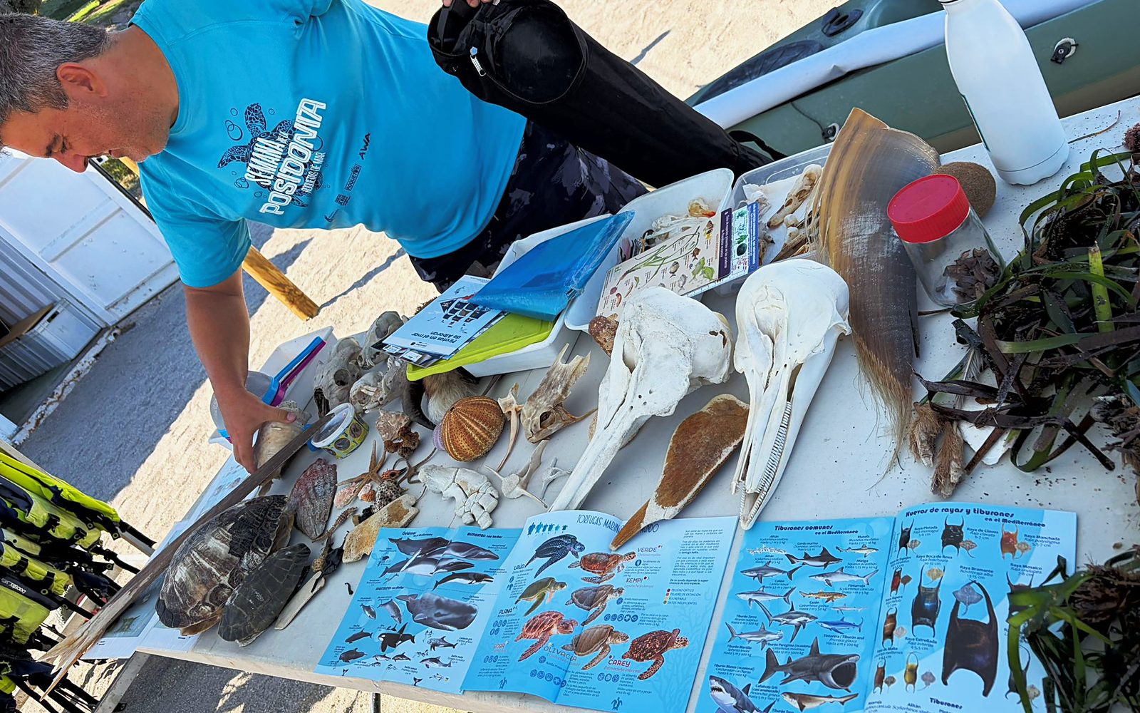 El Aula del Mar: el Mediterráneo que puedes tocar