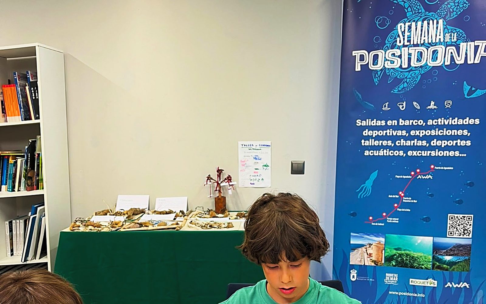 Guardianes de la Posidonia: aprender el mar con las manos — imagen 1
