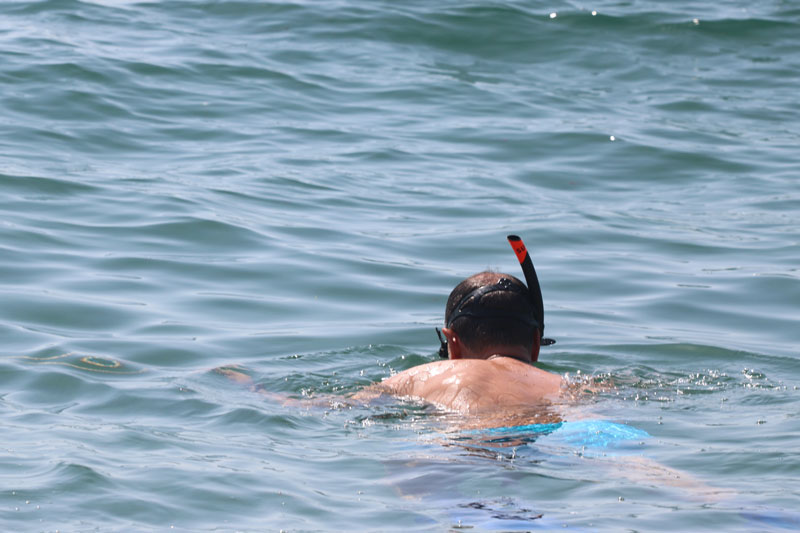 Domingo 6 de julio: cuerpo en movimiento, alma en el agua — foto 1