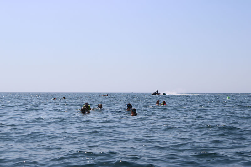 Domingo 6 de julio: cuerpo en movimiento, alma en el agua — foto 2
