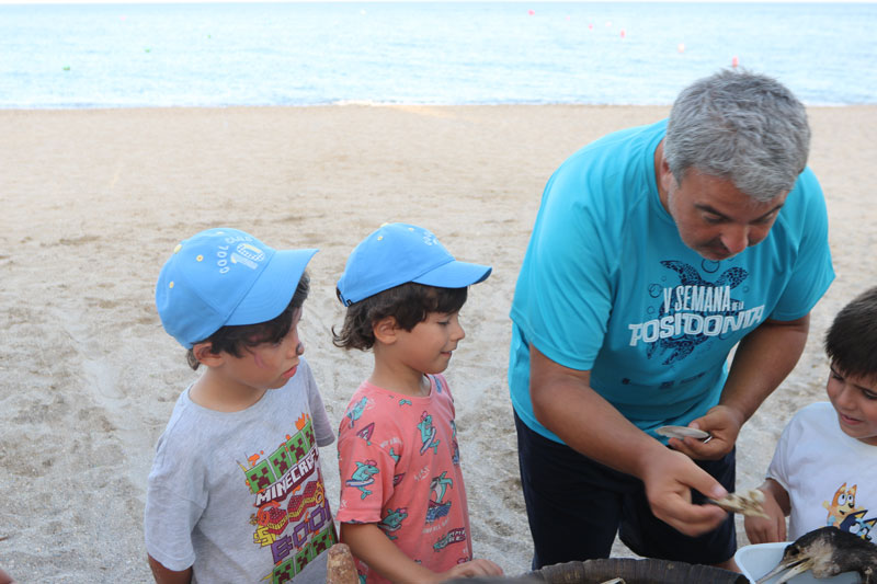 Miércoles 9 y jueves 10 de la Semana de la Posidonia: un día para explorar, flotar y soñar — foto 2