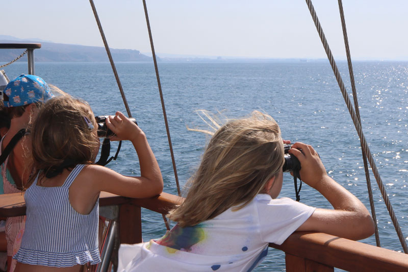 Sábado 5 de julio: aventuras marinas, arte y conciencia colectiva — foto 3