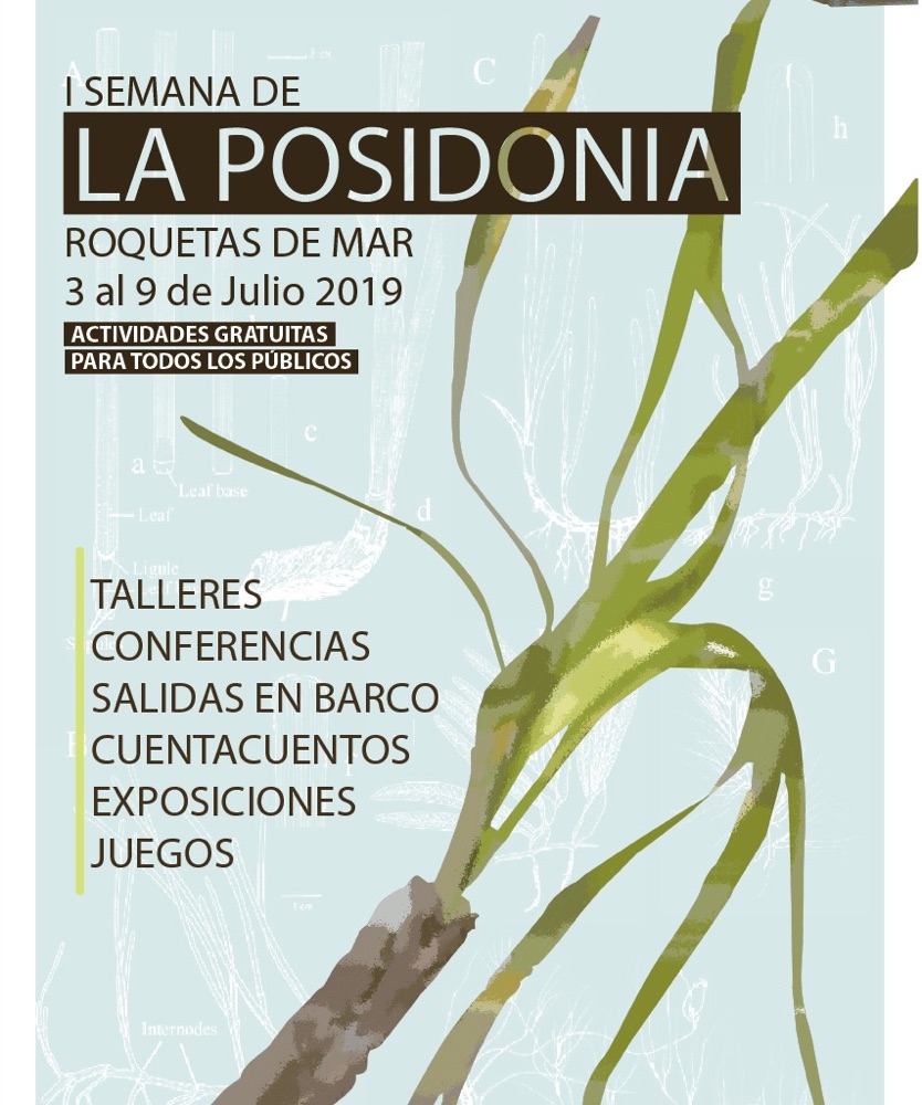 Cartel oficial de la I Semana de la Posidonia (2019)